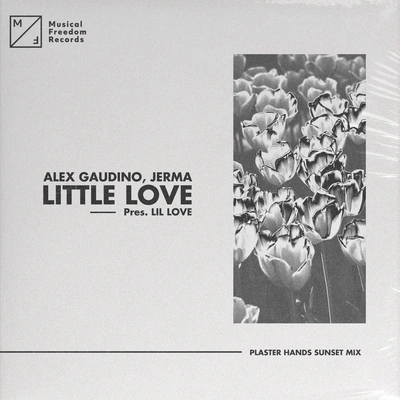 Alex GaudinoLittle Love (pres. Lil' Love) [Plaster Hands Sunset Mix]