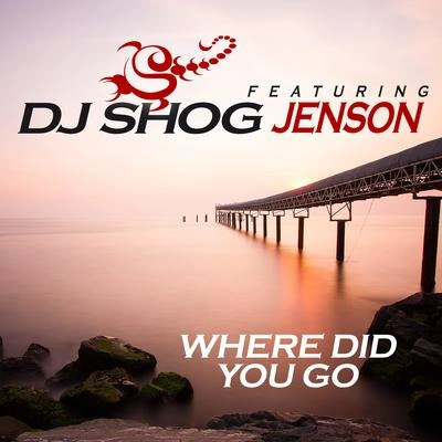 DJ ShogWhere Did You Go (Sonic Acoustics Remix)