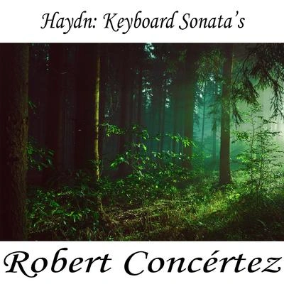 Franz Joseph HaydnKeyboard Sonata No- 46 Hob- 31 in E Minor, Op- 46, Hob- 31 II- Allegretto