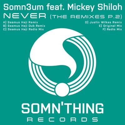 Mickey Shilohnever (Seamus ha級remix)