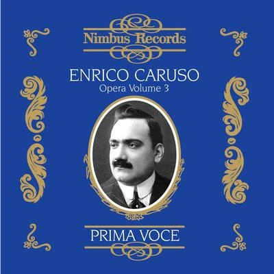 Josef PasternackWalter B. RogersSalvatore CottoneEnrico CarusoGiuseppe VerdiMetropolitan Opera ChorusGiulio SettiAïda: Celeste Aida (Recorded 1902)