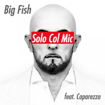 Big Fishsolo col mic (cap are專注A)