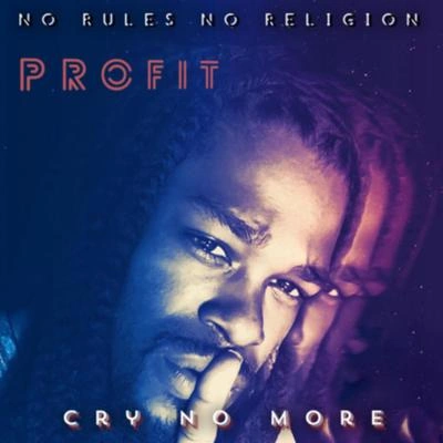 Profitcry no more (radio edit)