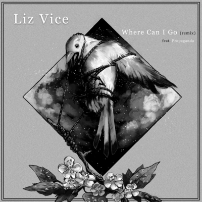 Liz ViceWhere Can I Go (Remix) [feat. Propaganda]