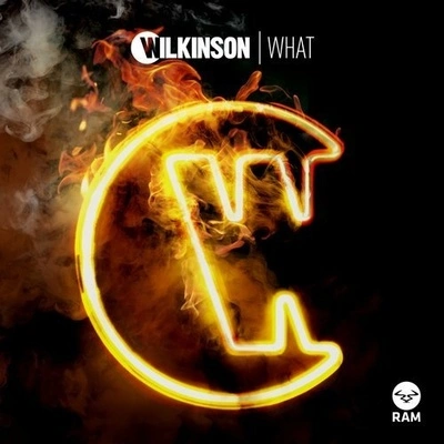 WilkinsonWhat (Original Mix)