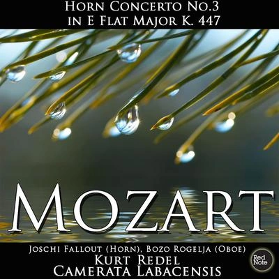 Camerata LabacensisHorn Concerto No.3 in E Flat Major, K. 447: III. Allegro