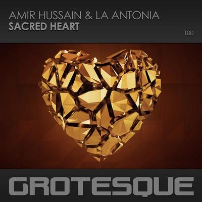 Amir HussainSacred Heart