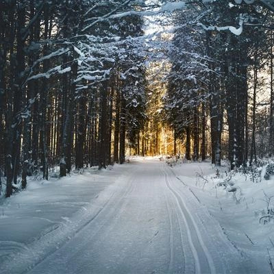 Christmas Eve Carols AcademyUp to Snow Good