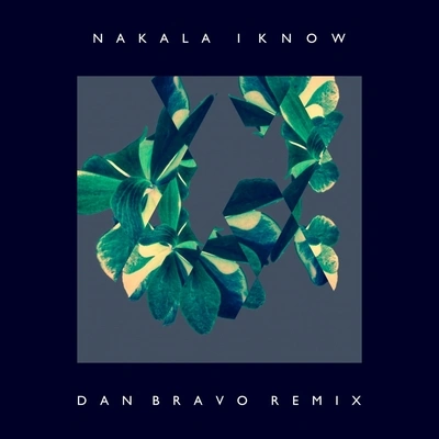 NakalaI Know (Dan Bravo Remix)