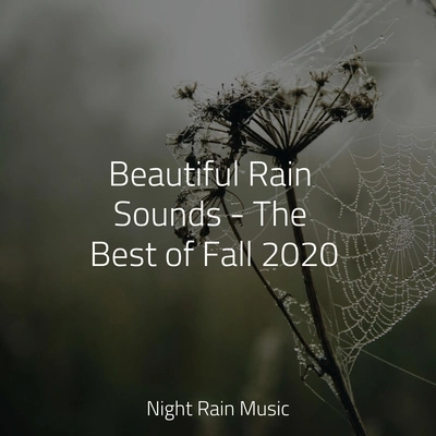 Nature RecordingsMeditative Music GuruRest & Relax Nature SoundsRain Drops