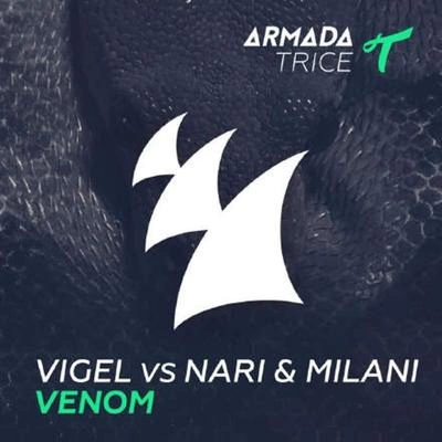 VigelVenom (Extended Mix)