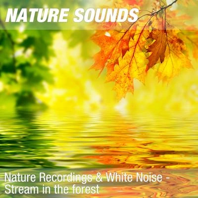 Nature SoundsNature Sounds for Relaxation, Love & Happiness (Forest stream) 03