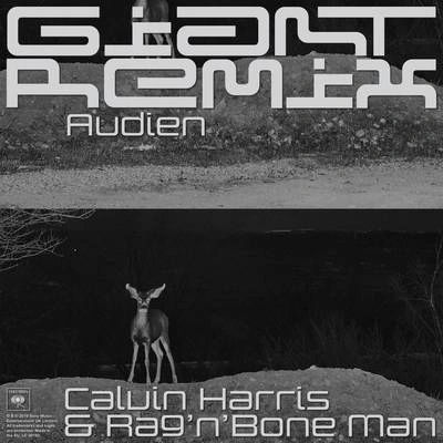 AudienRagNBone ManCalvin HarrisGiant (Audien Remix)