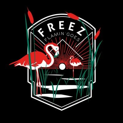 Freezflamingoes