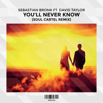 David TaylorYou'll Never Know (feat. David Taylor) (Soul Cartel Remix)