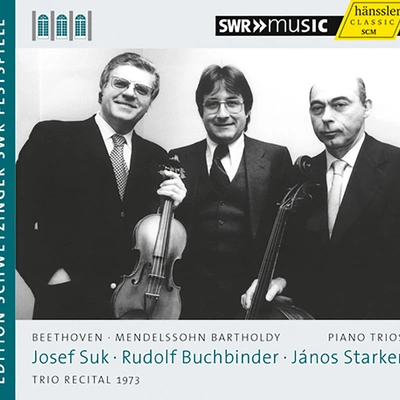 Josef Sukpiano trio no. 1 in D minor, op. 49, MW V Q29:II. andante con moto tranquil咯