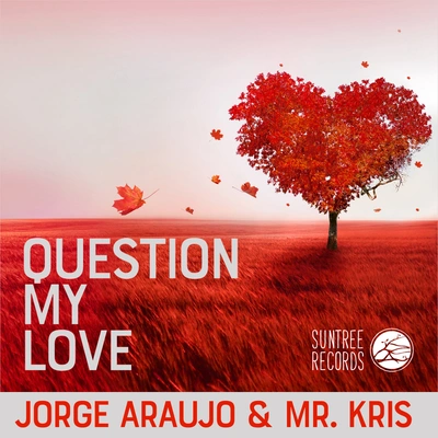 Jorge Araujoquestion my love (original mix)