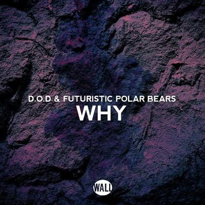 Futuristic Polar BearsWhy (Extended Mix)