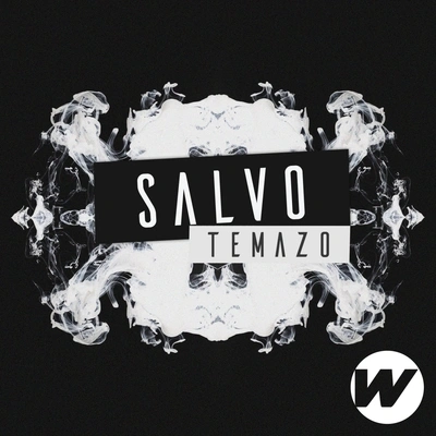 SalvoTemazo (Original Mix)