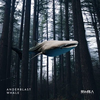 AnderblastWhale (Original Mix)