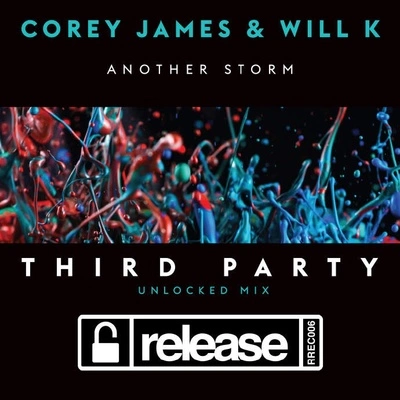 Third PartyAnother Storm (Third Party Unlocked Extended Mix)