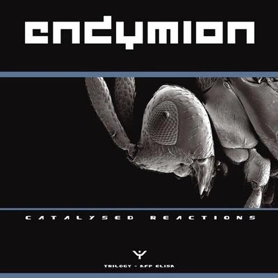 EndymionTraction