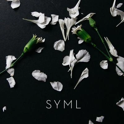 SYMLMeant to Stay Hid