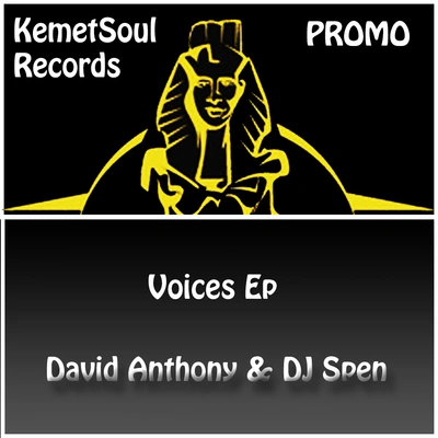 Dave AnthonyDJ SpenVoices (Instrumental Mix)