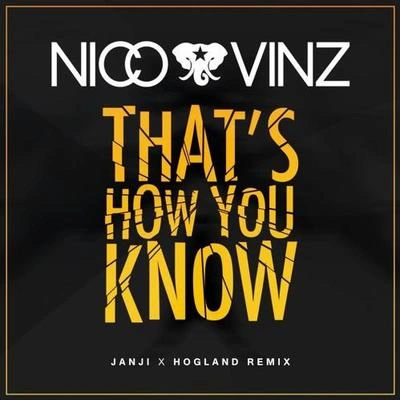 JanjiTha's How You Know(JANJIHogland remix)