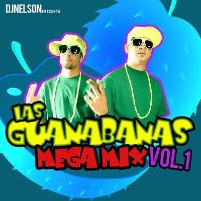 DJ NelsonLas Guanabanas Mega Mix, Vol. 1