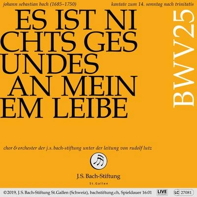 Chor der J.S. Bach-StiftungEs ist nichts Gesundes an meinem Leibe, BWV 25: IV. Rezitativ (Sopran) - O Jesu, lieber Meister