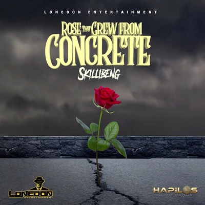 SkillibengRose That Grew from Concrete (Radio Edit)