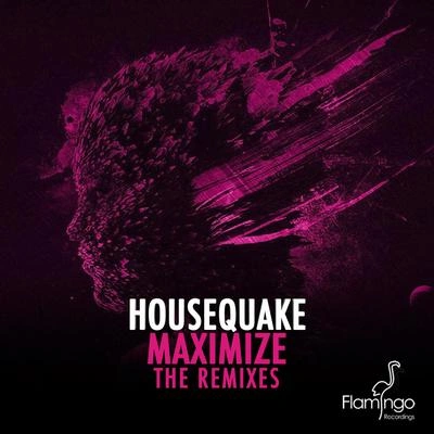 HousequakeMaximize (Roul and Doors Remix)