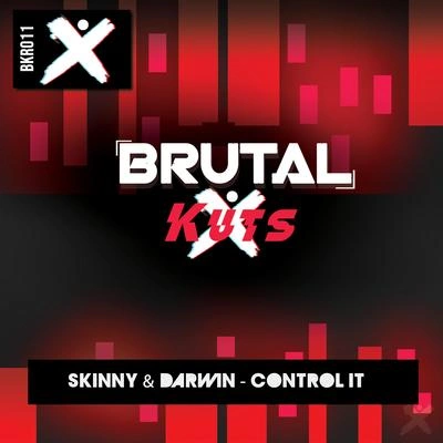 SkinnyControl It (Original Mix)