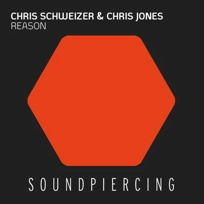 Chris SchweizerReason (David Forbes Remix)