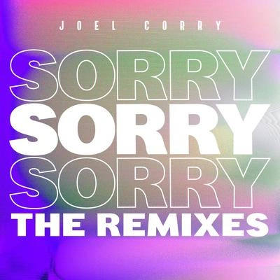 Joel CorrySorry (Dots Per Inch Remix)