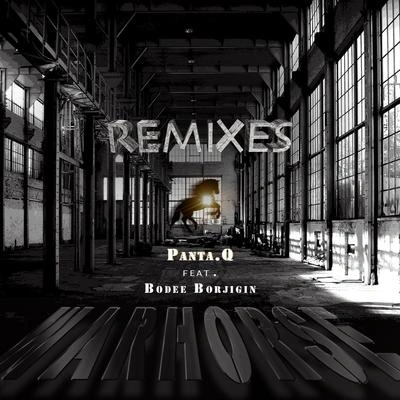 Panta.Q战马（Fritz Phoris Remix）