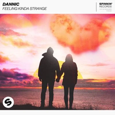 DannicFeeling Kinda Strange (Extended Mix)