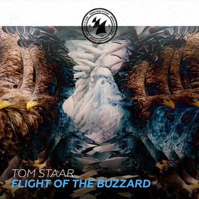 Tom StaarFlight Of The Buzzard