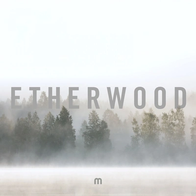 EtherwoodLay Your Armour Down