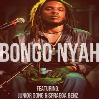 Stephen MarleyBongo Nyah (feat. Spragga Benz & Damian Marley)