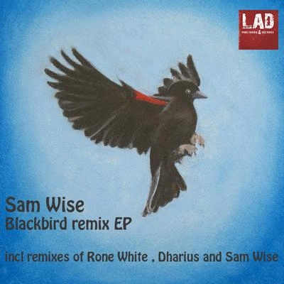 Sam WiseBlackbird (Sam Wise Remix)