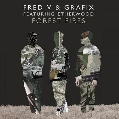 Fred VForest Fires