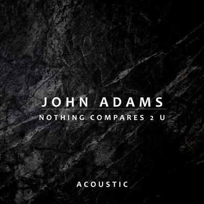 John AdamsNothing Compares 2 U (Acoustic)