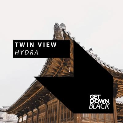 Twin ViewHydra (Original Mix)