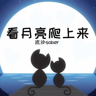 流沙sober看月亮爬上來（環繞版）（翻自 張傑）