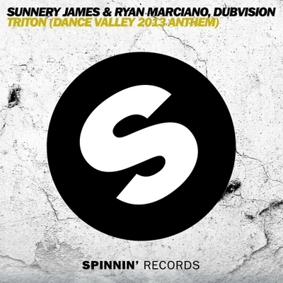 Sunnery James & Ryan MarcianoTriton (Dance Valley 2013 Anthem) (Original Mix) - remix