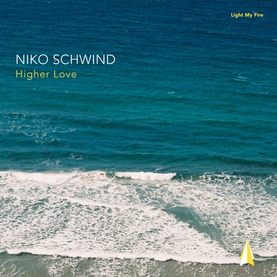 Niko Schwindhardwired