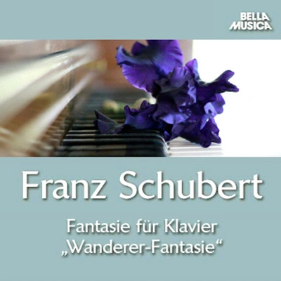 Charles GerhardtFantasie für Klavier in C Major, D. 760 "Wanderer Fantasie": II. Adagio