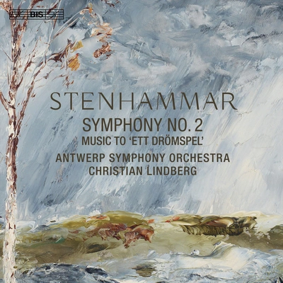 Antwerp Symphony OrchestraSymphony No. 2 in G Minor, Op. 34: I. Allegro energico